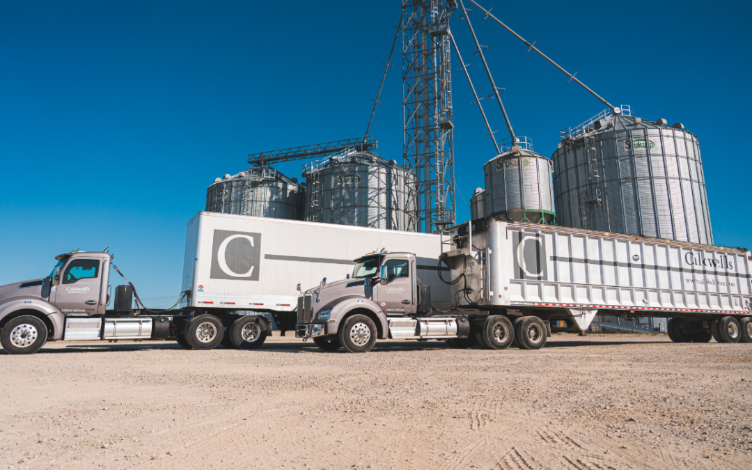 Walking Floor Trailers & Their Many Uses
